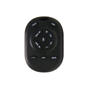 Delphi Handheld Remote Control | # PSO PP603988