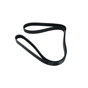 TTP Universal Ribbed Belt | # TTP8PK2065