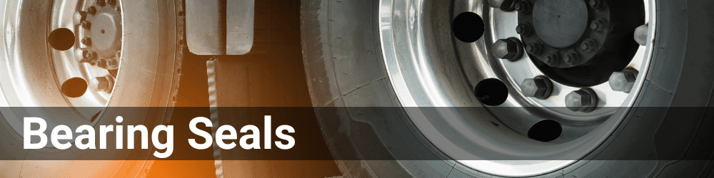Bearing Seals